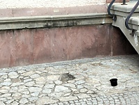 Porwanie stulecia w Elblągu? Zniknął Fotograf!
