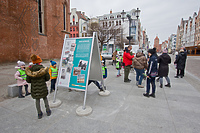 (Po)znać się jak łyse konie