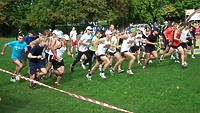 Pobiegnij w Grand Prix Elbląga