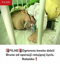 Pobiegnijmy dla Bruna!