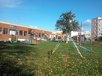 Konsultacje ws. Kreatywnych Podwórek