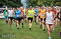Pogonili niczym za bażantem