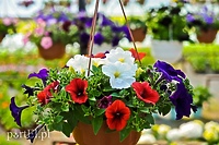 Pokaż mamie, że jest dla ciebie ważna