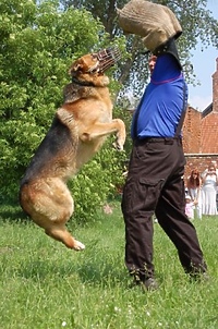 Baw się z policjantami