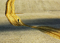 Pola malowane w fotografii