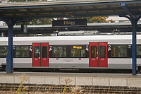 Polityczne rozmowy o żuławskim pociągu