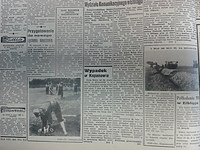 Półkolonie TPD w Elblągu