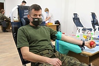 Pomaganie mają we krwi