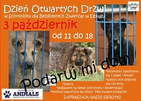 Pomóż bezdomnym zwierzakom