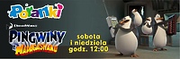 Poranki z Pingwinami z Madagaskaru