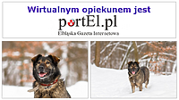 PortEl ma psa