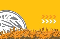 Postaw na samozatrudnienie!