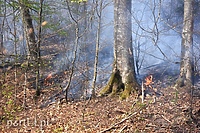 Pożar w środku lasu (aktualizacja)