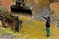 Ekolodzy bronią Srebrnego Potoku
