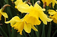 Przed Polami Nadziei