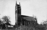 Dawno temu w Elblągu...ukradziono 200 choinek