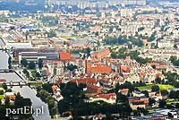 Przedsiębiorcy: Na państwo nie ma co liczyć
