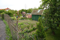 Przepis na ocalenie działkowych ogrodów