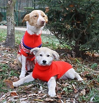 Przyjrzyj się temu, co wyrzucasz!