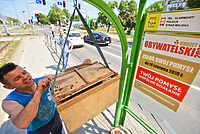 Pszczoły zaatakowały przystanek  (aktualizacja)