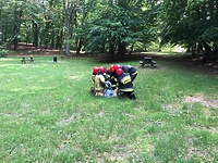 Ratowali sarnę, która utknęła w ogrodzeniu