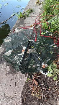 Rozstawiał siatki - trafił za kratki