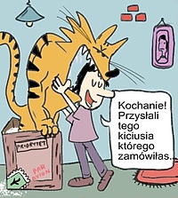 Adopcja kotów… przez Internet