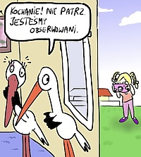 Konkurs Bocianopedii