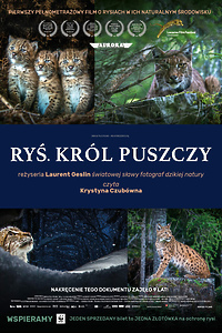 Ryś. Król puszczy