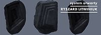 Ryszard Litwiniuk - system otwarty