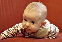 Rządzą Zuzie i Kubusie