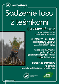 Sadzenie drzew z leśnikami