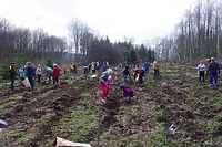 Sadzili las na 25-lecie  ZZIT