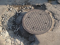 Ser szwajcarski na Zatorzu