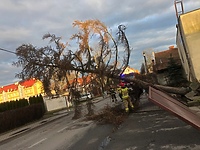 Silny wiatr i działania braniewskich strażaków