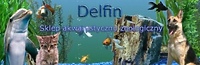 Sklep Zoologiczny "Delfin" w pasażu handlowym portElu