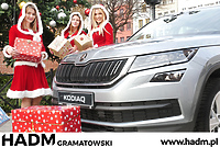 Skoda Kodiaq z rabatami do 20 000 zł tylko do końca grudnia!