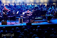 Smyczkami (i nie tylko) ku Morzu Czerwonemu