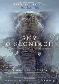 Sny o słoniach w Kinie Światowid