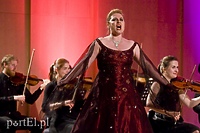 Miłość niejeden ma dźwięk