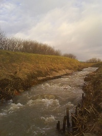 Spacer za miasto: Nowina i okolice