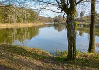 Las, strażnik wody  (Opowieści z lasu, odc. 217)