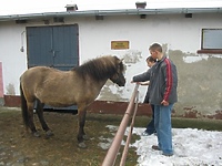 ŚHP w Końskim Zdrowiu