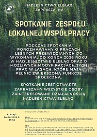 Spotkanie Zespołu Lokalnej Współpracy