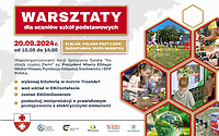 Sprzątanie świata po elbląsku 