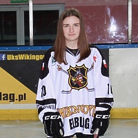 Srebrna Julka (hokej)