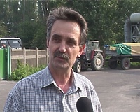 Mniej pszenicy w skupach