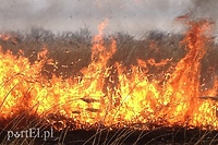 Strażacy apelują, ale nikt ich nie słucha