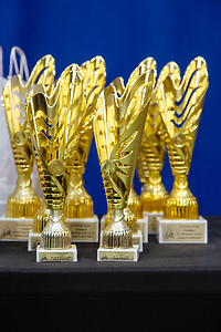 Sukcesy elblążanek na ogólnopolskich zawodach w jeździe figurowej