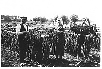 Historia okolic Elbląga: Od Kaniczek do Karpin (odc. 141)